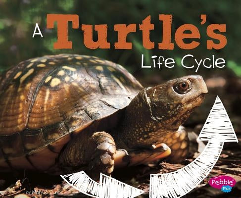 A Turtle's Life Cycle by Dunn, Mary R.