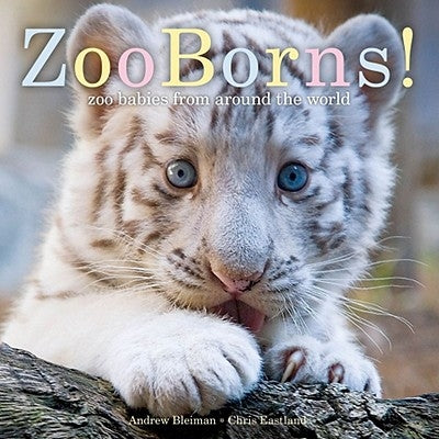 Zooborns!: Zoo Babies from Around the World by Bleiman, Andrew