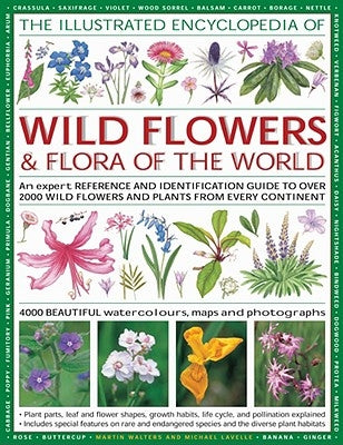 Illustrated Encyclopedia of Wild Flowers & Flora of the World by Lavelle, Michael