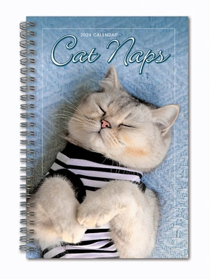 Cat Naps by Sellers Publishing, Inc