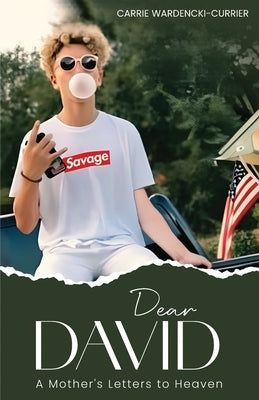 Dear David: A Mother's Letters to Heaven by Wardencki-Currier, Carrie