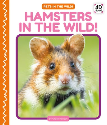 Hamsters in the Wild! by Hansen, Grace