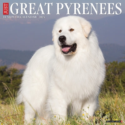Just Great Pyrenees 2024 12 X 12 Wall Calendar by Willow Creek Press