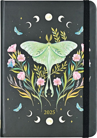 2025 Luna Moth Weekly Planner (16 Months, Sept 2024 to Dec 2025) by Yunk, Lea