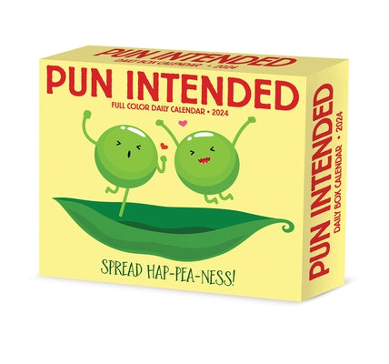 Pun Intended 2024 6.2 X 5.4 Box Calendar by Willow Creek Press