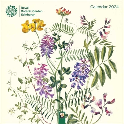 Royal Botanic Garden Edinburgh Wall Calendar 2024 (Art Calendar) by Flame Tree Studio