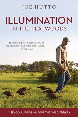 Illumination in the Flatwoods by Hutto, Joe
