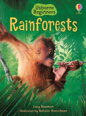 Rainforests by Bowman, Lucy