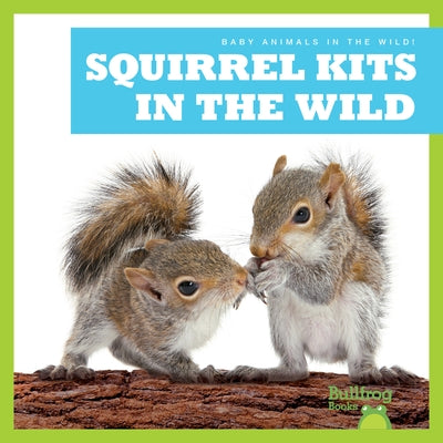 Squirrel Kits in the Wild by Chanez, Katie