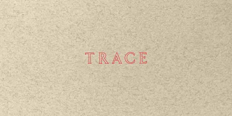 Jenny Holzer: Trace by Holzer, Jenny