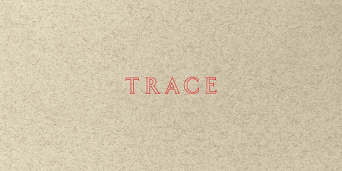 Jenny Holzer: Trace by Holzer, Jenny