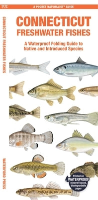 Connecticut Freshwater Fishes: A Waterproof Folding Guide to Native and Introduced Species by Morris, Matthew