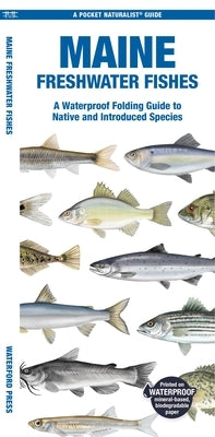 Maine Freshwater Fishes: A Waterproof Folding Guide to Native and Introduced Species by Morris, Matthew