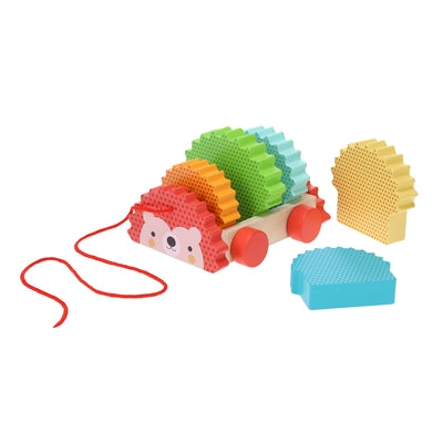 Rainbow Hedgehog Wooden Pull Toy by Petit Collage