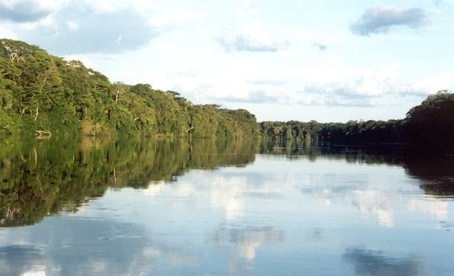 The Congo's Salonga Park: Interactions Between Society, Biodiversity and Water in a Humid Tropical Forest by Inogwabini, Bila-Isia