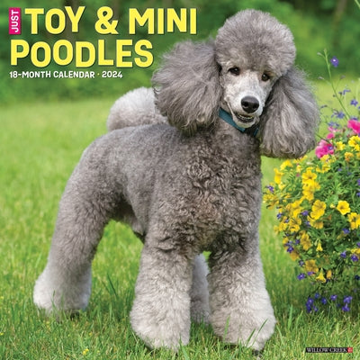 Just Toy & Miniature Poodles 2024 12 X 12 Wall Calendar by Willow Creek Press