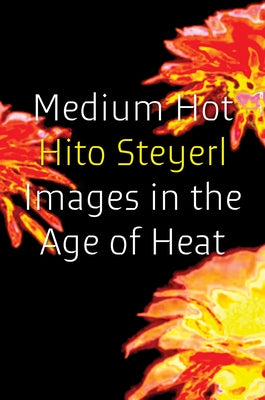 Medium Hot: Images in the Age of Heat by Steyerl, Hito