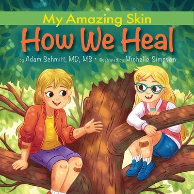 How We Heal by Schmitt, Adam