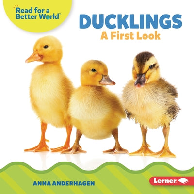 Ducklings: A First Look by Anderhagen, Anna