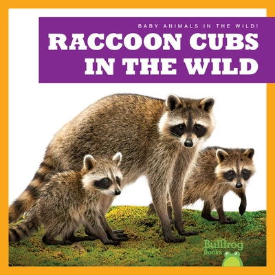 Raccoon Cubs in the Wild by Chanez, Katie