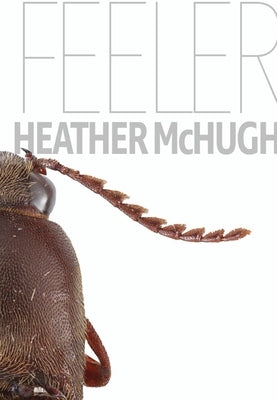 Feeler by McHugh, Heather
