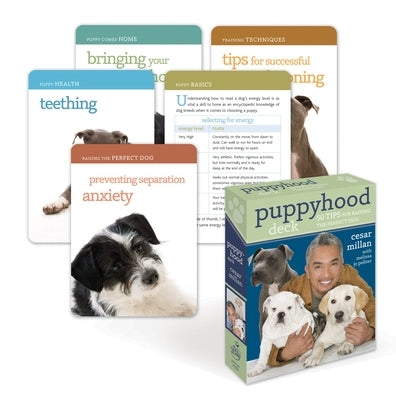 Puppyhood Deck: 50 Tips for Raising the Perfect Dog by Millan, Cesar