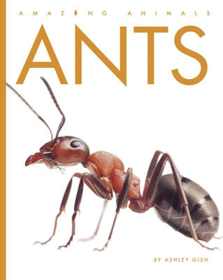 Ants by Gish, Ashley