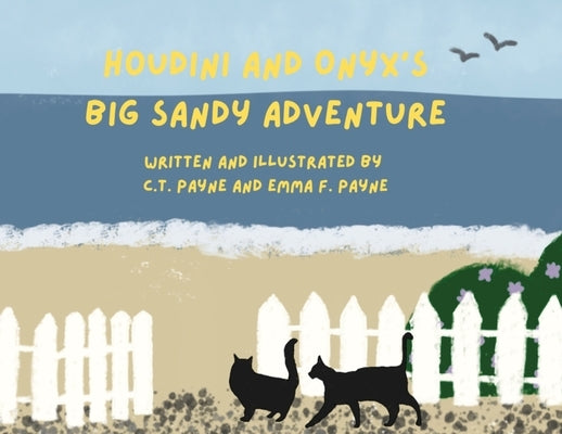 Houdini and Onyx's Big Sandy Adventure by Payne, C. T.