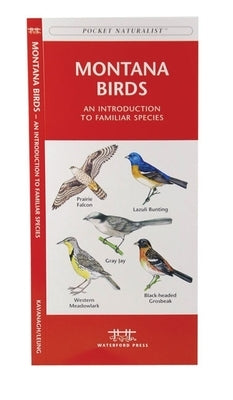 Montana Birds: A Folding Pocket Guide to Familiar Species by Kavanagh, James