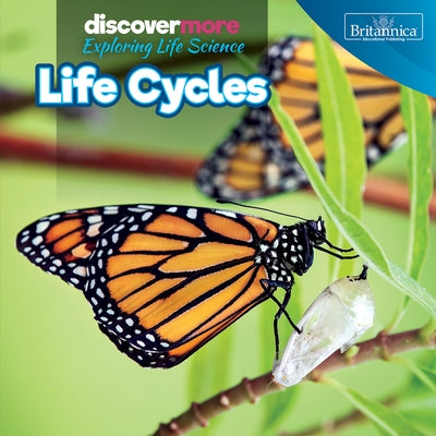 Life Cycles by Brazzos, Ernest