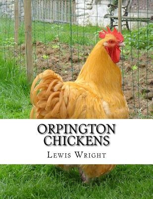 Orpington Chickens: From The Book of Poultry by Chambers, Jackson