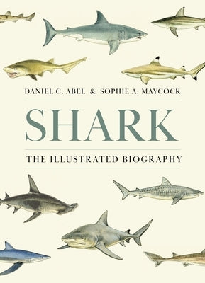 Shark: The Illustrated Biography by Abel, Daniel