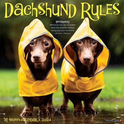 Dachshund Rules 2024 12 X 12 Wall Calendar by Willow Creek Press