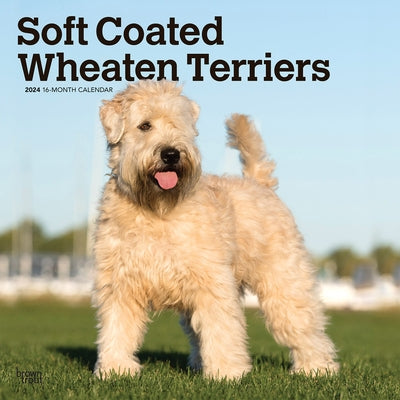 Wheaten Terriers, Soft Coated 2024 Square by Browntrout