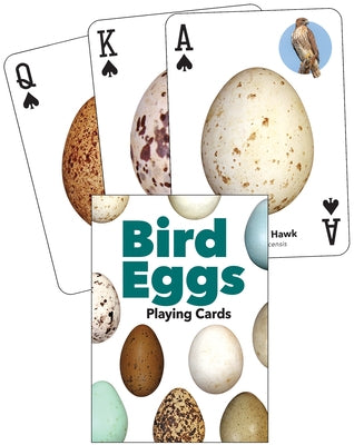 Bird Eggs Playing Cards by 