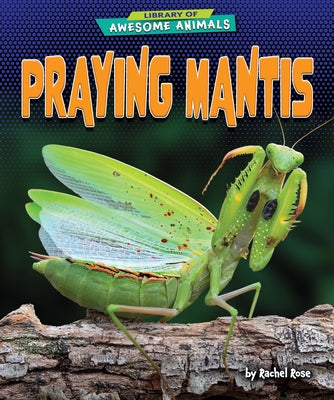 Praying Mantis by Rose, Rachel