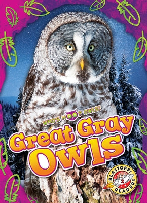 Great Gray Owls by Barnes, Rachael