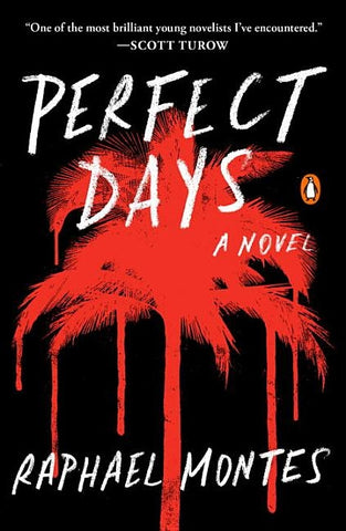 Perfect Days by Montes, Raphael