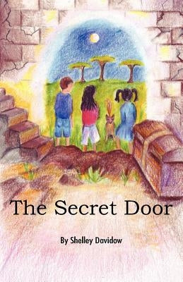 The Secret Door by Davidow, Shelley