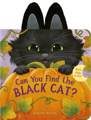 Can You Find the Black Cat?: With Flaps to Lift! by McLean, Danielle