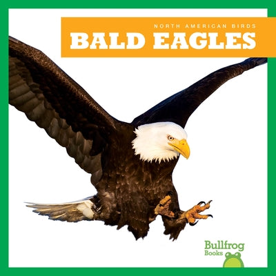 Bald Eagles by Grack, Rachel