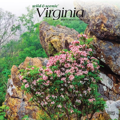 Virginia Wild & Scenic 2024 Square by Browntrout