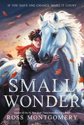 Small Wonder by Montgomery, Ross