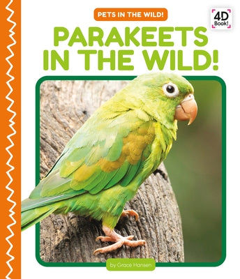 Parakeets in the Wild! by Hansen, Grace