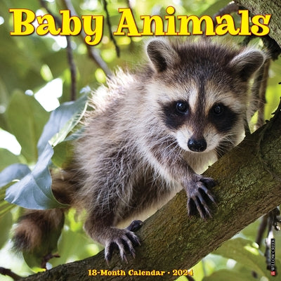 Baby Animals 2024 12 X 12 Wall Calendar by Willow Creek Press