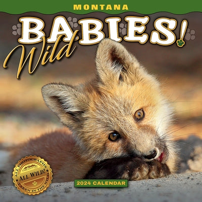 2024 Montana Wild Babies Wall Calendar by 