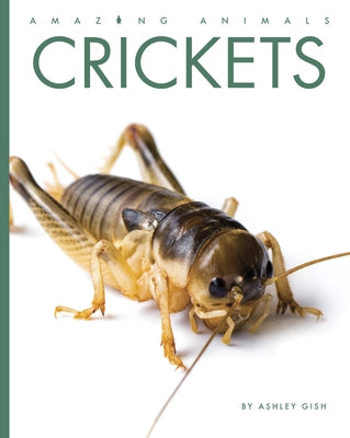 Crickets by Gish, Ashley