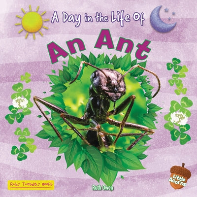 An Ant by Owen, Ruth