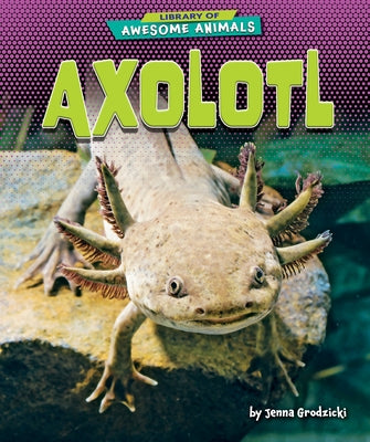 Axolotl by Grodzicki, Jenna