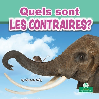 Quels Sont Les Contraires? (What Are Opposites?) by Kelly, Miranda